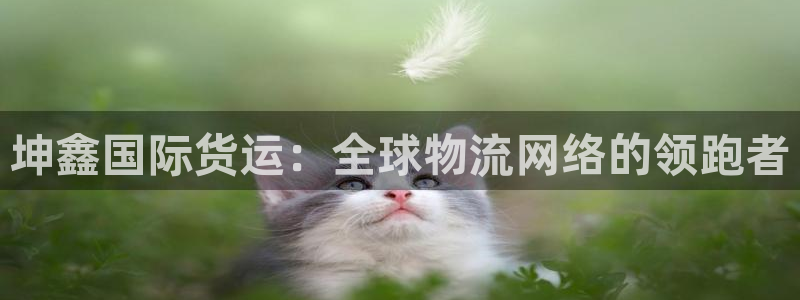 您好,k豆钱包下：坤鑫国际货运：全球物流网络的领跑者