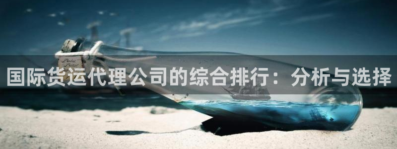 k豆钱包的豆可以互转吗：国际货运代理公司的综合排行：分析