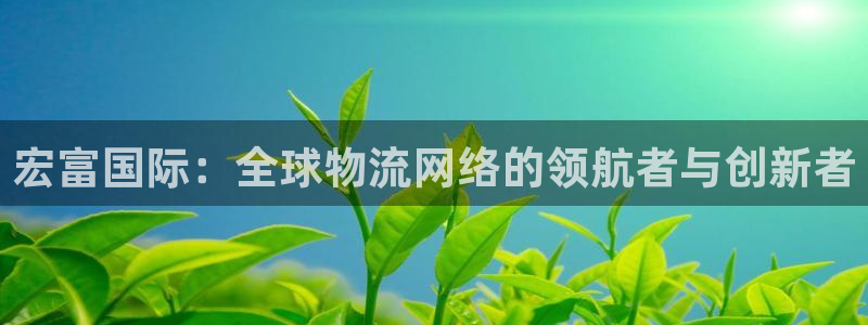 k豆钱包邀请码：宏富国际：全球物流网络的领航者与创新者