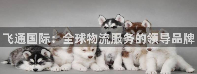 k豆钱包的用途：飞通国际：全球物流服务的领导品牌