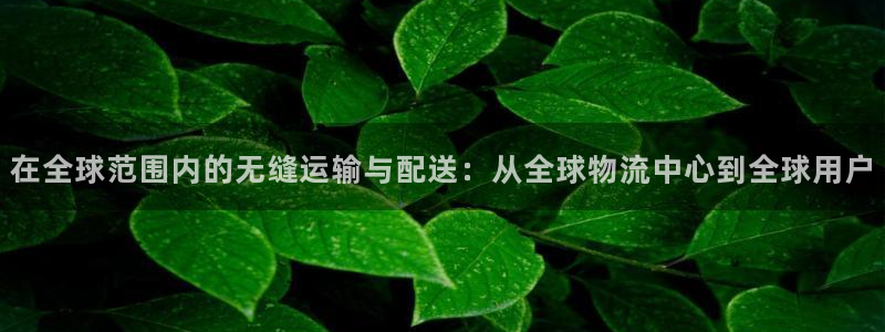k豆钱包吧：在全球范围内的无缝运输与配送：从全球物流中心