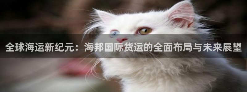 k豆钱包网址：全球海运新纪元：海邦国际货运的全面布局与未