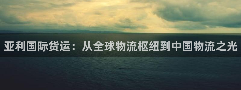 k豆钱包吧：亚利国际货运：从全球物流枢纽到中国物流之光
