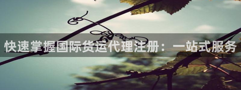 怎么下载k豆钱包app：快速掌握国际货运代理注册：一站式