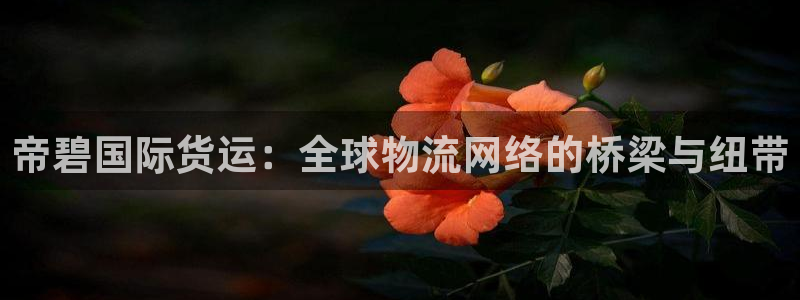 k豆钱包快捷卖豆：帝碧国际货运：全球物流网络的桥梁与纽带