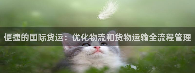 k豆pay钱包官网：便捷的国际货运：优化物流和货物运输全