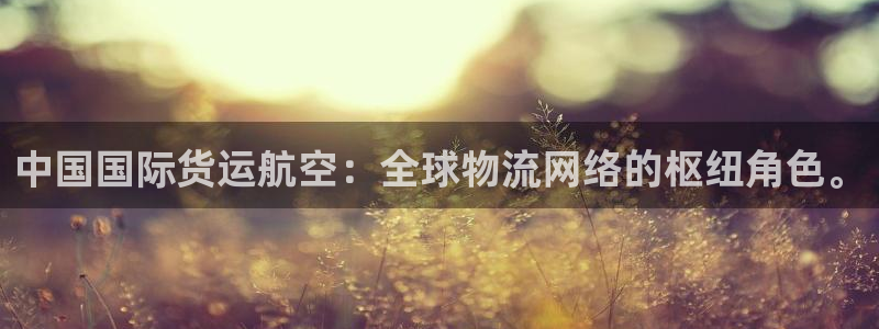 k豆钱包下载：中国国际货运航空：全球物流网络的枢纽角色。