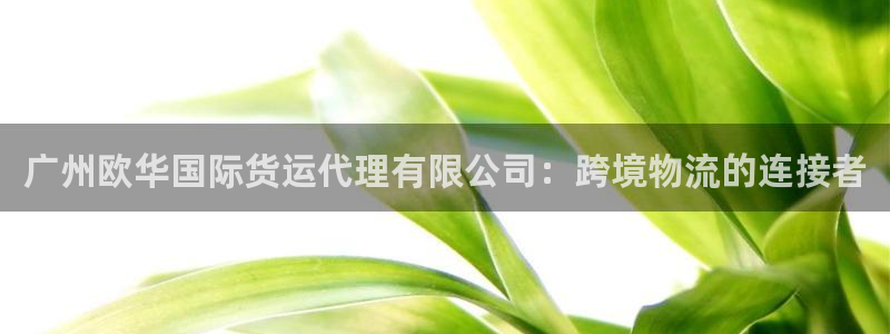 k豆钱包卖豆太难了：广州欧华国际货运代理有限公司：跨境物