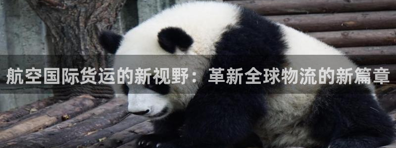 k豆钱包怎么使用：航空国际货运的新视野：革新全球物流的新