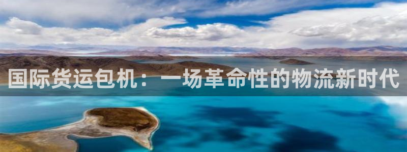 k豆钱包快捷卖豆：国际货运包机：一场革命性的物流新时代