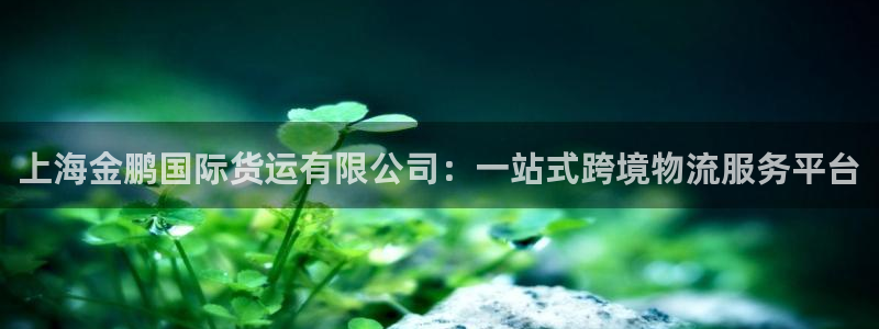 k豆钱包地址：上海金鹏国际货运有限公司：一站式跨境物流服