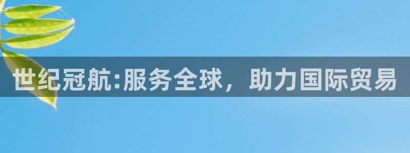 k 豆钱包下载：世纪冠航:服务全球，助力国际贸易