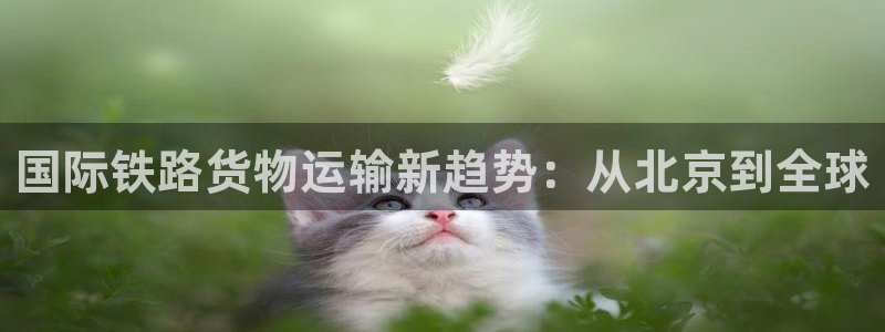 k豆钱包下载官网：国际铁路货物运输新趋势：从北京到全球