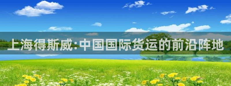 k豆钱包卖豆太难了：上海得斯威:中国国际货运的前沿阵地