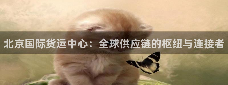 k豆钱包苹果最新版本：北京国际货运中心：全球供应链的枢纽
