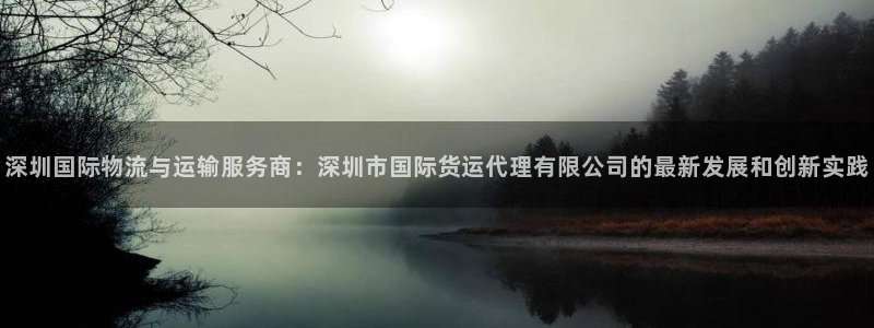 下载一个k豆钱包：深圳国际物流与运输服务商：深圳市国际货