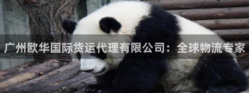 k豆钱包下载安装