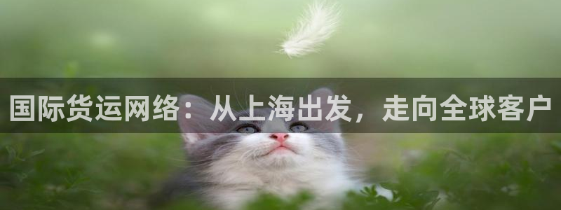 k豆钱包手机版下载：国际货运网络：从上海出发，走向全球客