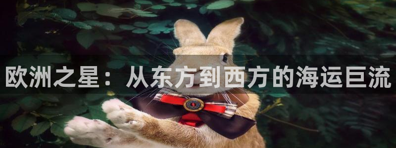 k豆钱包官网：欧洲之星：从东方到西方的海运巨流