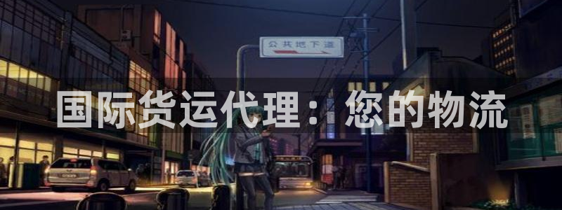 k豆钱包会风控吗：国际货运代理：您的物流