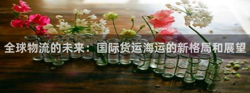 k豆钱包官网平台：全球物流的未来：国际货运海运的新格局和
