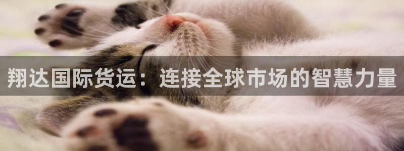 k豆钱包下载苹果：翔达国际货运：连接全球市场的智慧力量