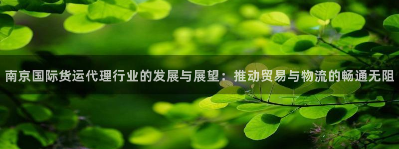 k豆钱包官网：南京国际货运代理行业的发展与展望：推动贸易