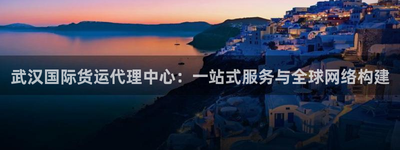 k豆钱包快捷卖豆：武汉国际货运代理中心：一站式服务与全球