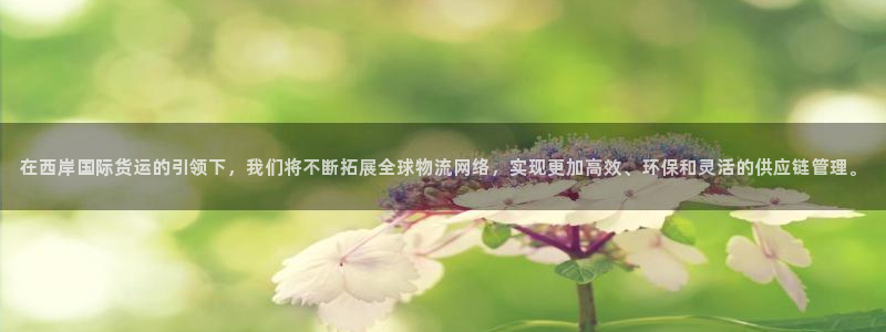 k豆钱包入口：在西岸国际货运的引领下，我们将不断拓展全球