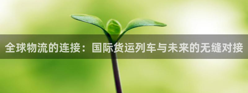 k豆钱包地址怎么写：全球物流的连接：国际货运列车与未来的