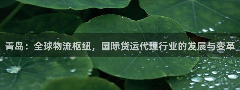 k 豆钱包4：青岛：全球物流枢纽，国际货运代理行业的发展