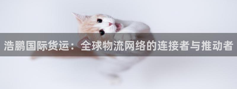k豆钱包有啥用：浩鹏国际货运：全球物流网络的连接者与推动