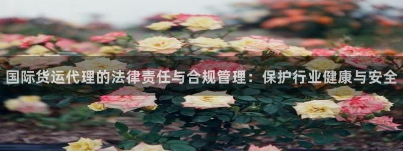 k 豆钱包app：国际货运代理的法律责任与合规管理：保护
