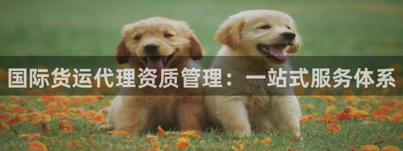 k豆钱包怎么使用：国际货运代理资质管理：一站式服务体系