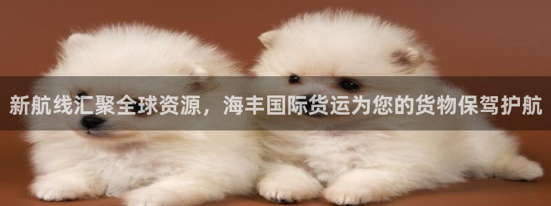 k豆钱包怎么提现：新航线汇聚全球资源，海丰国际货运为您的