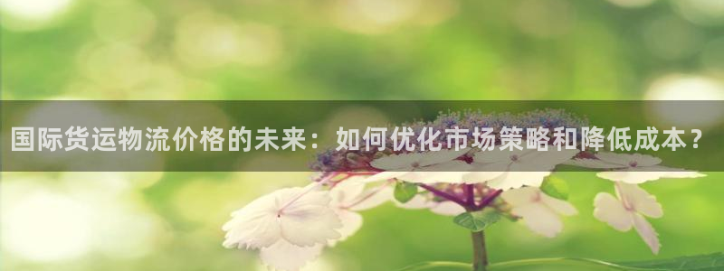 k豆钱包可靠吗：国际货运物流价格的未来：如何优化市场策略