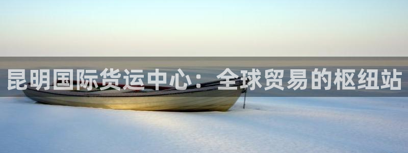 k豆钱包最新版本下载2024：昆明国际货运中心：全球贸易