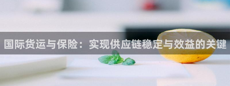 k豆钱包的用途：国际货运与保险：实现供应链稳定与效益的关