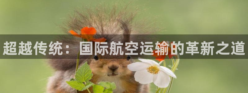 下载k豆钱包并安装：超越传统：国际航空运输的革新之道