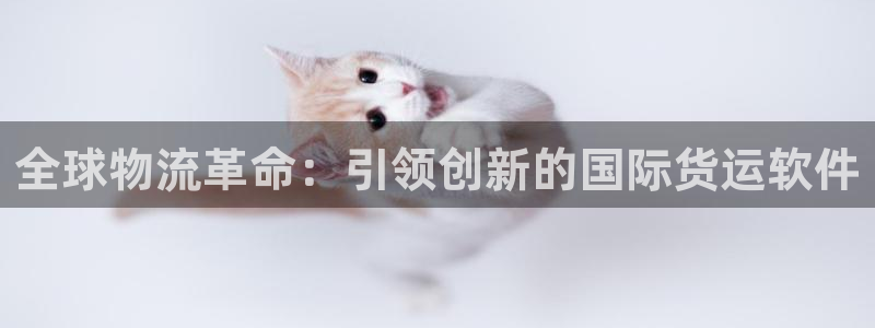 k豆钱包下载：全球物流革命：引领创新的国际货运软件
