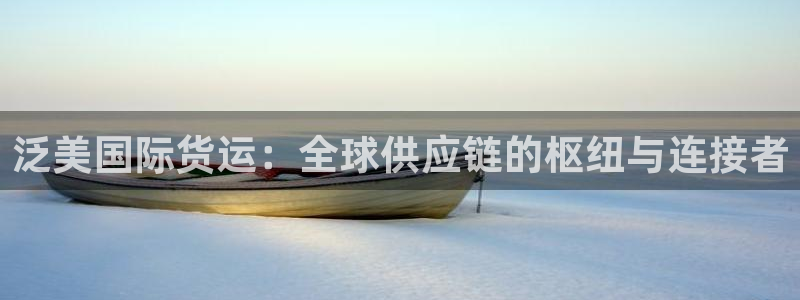 k豆钱包为什么下载不得呢：泛美国际货运：全球供应链的枢纽