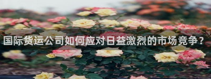 最新k豆钱包：国际货运公司如何应对日益激烈的市场竞争？