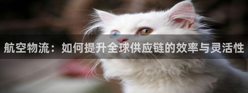 k豆钱包ios下载地址：航空物流：如何提升全球供应链的效