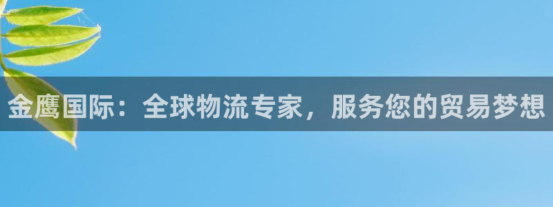 k豆钱包网页：金鹰国际：全球物流专家，服务您的贸易梦想