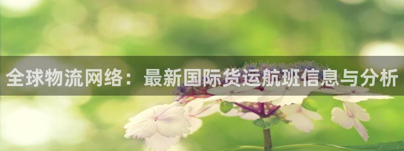 k豆钱包最新版本下载：全球物流网络：最新国际货运航班信息