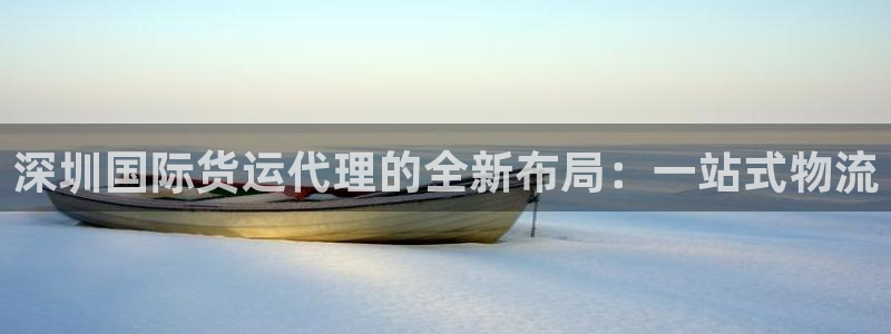 k豆支付钱包下载安装：深圳国际货运代理的全新布局：一站式