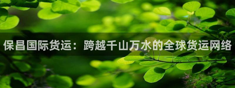 k 豆钱包4：保昌国际货运：跨越千山万水的全球货运网络