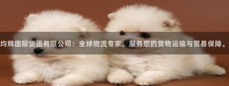 k豆钱包卖豆太难了：均辉国际货运有限公司：全球物流专家，